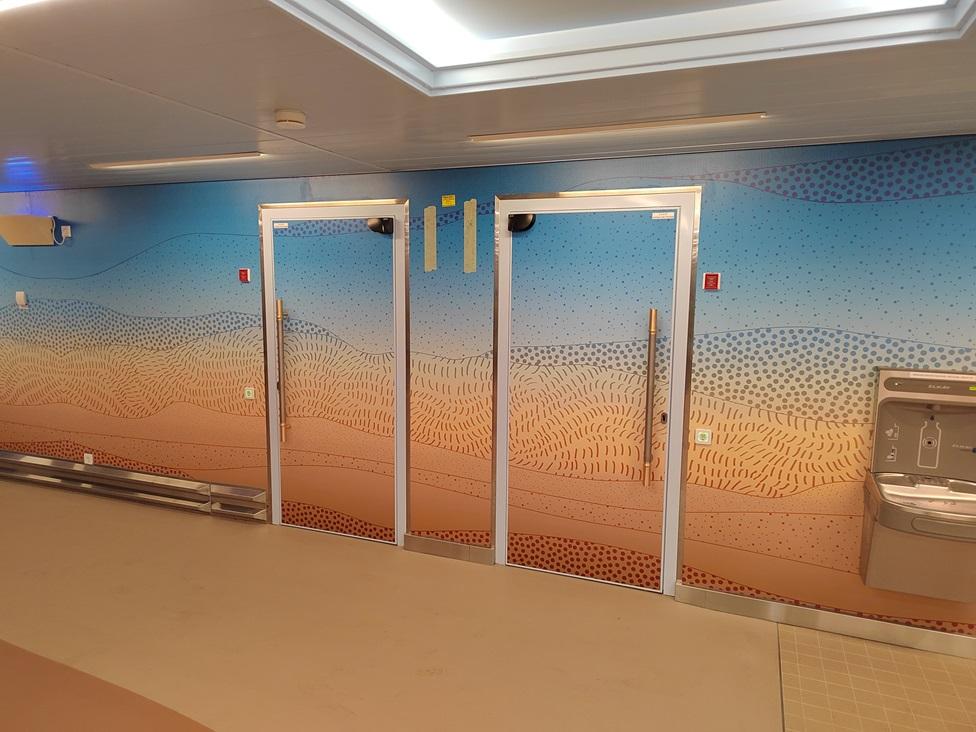 Two fully automated, ADA-compliant toilet doors with aluminum frames, laminated decorative surfaces, and stylish handles—designed, manufactured, and installed by Tarvasovi—set against a colorful, wave-patterned wall on board a cruise ship.
